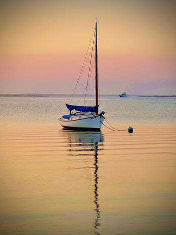 Sailboat Still Life