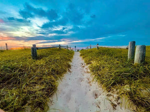 Morning Dune Walk