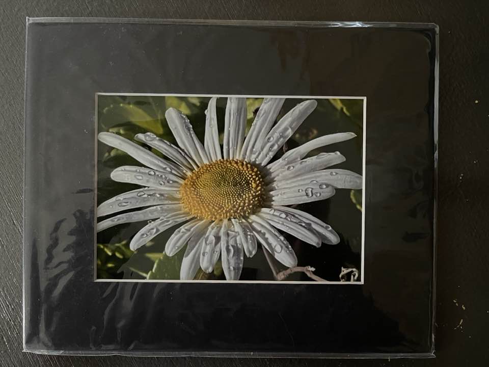 8x10 matted photo