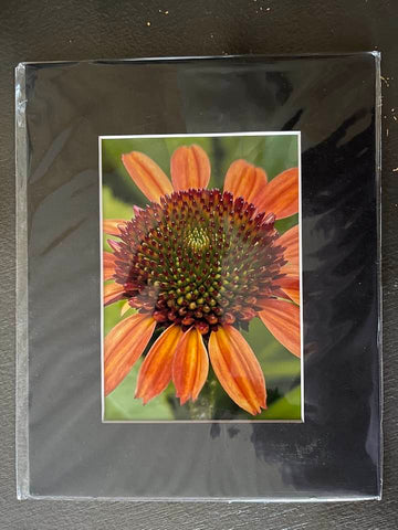 8x10 matted photo