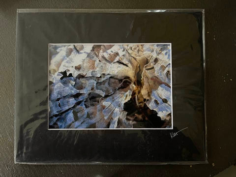 8x10 matted photo