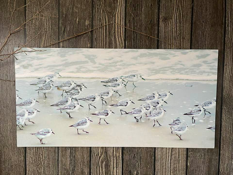 Sandpiper Parade - Print on stretched canvas